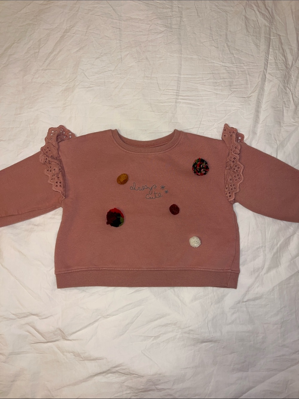 Zara Pink Eyelet Ruffle Sweatshirt with Pom-Poms